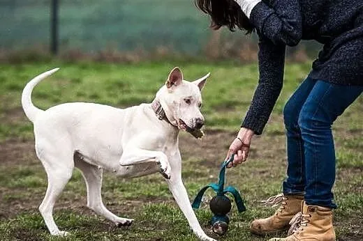 Cleo &#8211;  wystrzałowa blondyna do wzięcia!