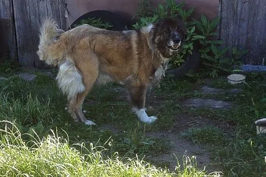 Doda szuka nowego domu