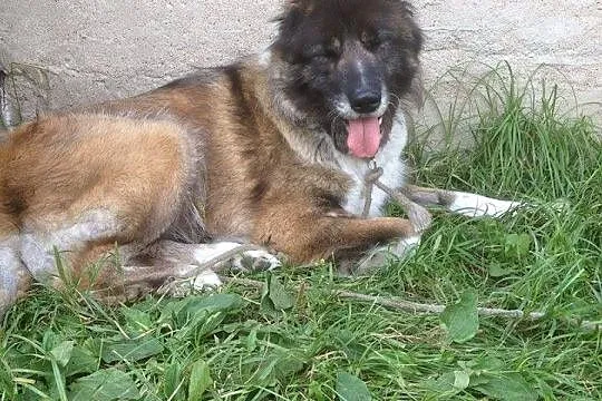 Doda szuka nowego domu