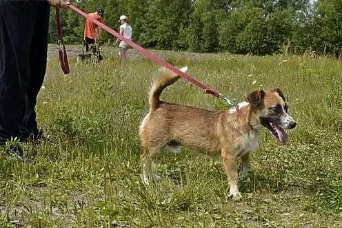 Sopelek nie widzi - ogląda przerażający świat  węc