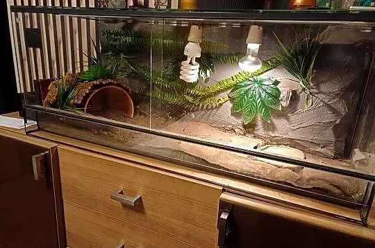 Terrarium z wyposażeniem 100x40x40