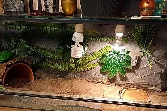 Terrarium z wyposażeniem 100x40x40, Śląskie, Sączów