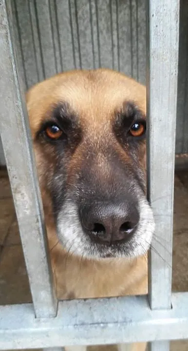 Aluś jest wyjątkowy! Dlaczego nie ma jeszcze domu?, Łódzkie, Łódź