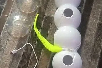 Elektroniczna, interaktywna zabawka dla kota, Podlaskie, Białystok
