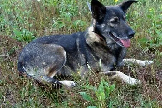 Adoptuj Sonię a pokocha Cię bezgranicznie całym se