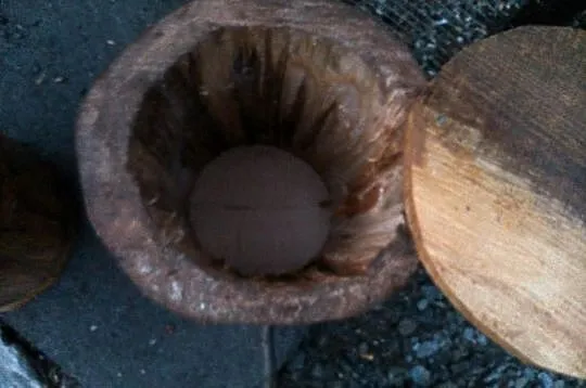 Budka lęgowa dla falistej, nierozłączki naturalna.