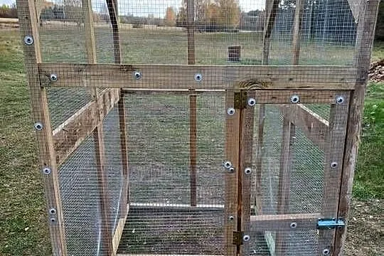 Woliera dla ptaków, wiewiórki, szynszyla