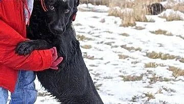 Co to za cudo? - to Lolek i może być Twój ! ;), m