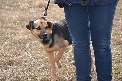 CUDACZEK po przejściach, pokochaj KRZYWEGO PYSIA!,
