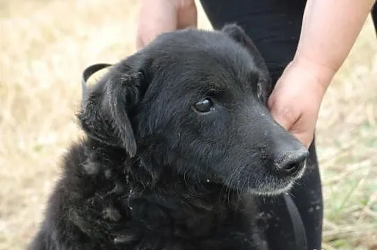Leżak