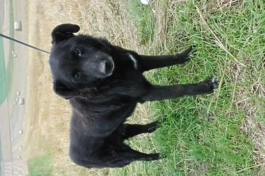 Leżak