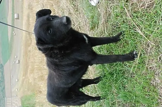 Leżak