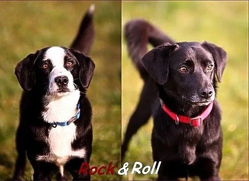 Rock&Roll !! :)