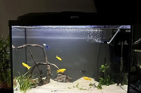 Akwarium 80l z dodatkami