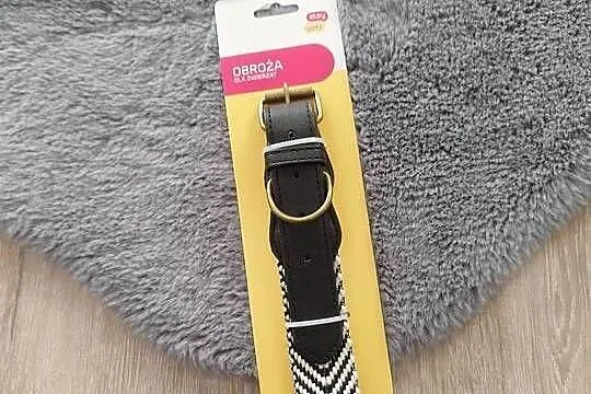Nowa obroża dla zwierząt *Eloy Pets obroża dla psa do smyczy, Mazowieckie, Warszawa