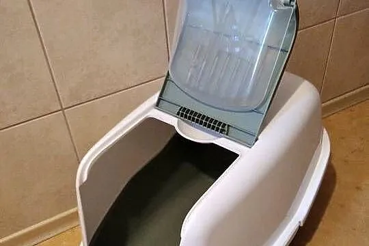 Kuweta dla kota SAVIC Nestor, Wielkopolskie, Poznań
