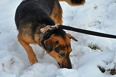 Poziomka kocha ludzi dzieci i świat daj jej wspani