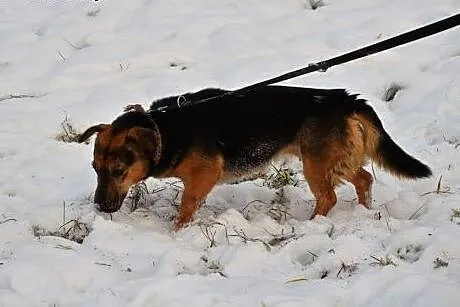 Poziomka kocha ludzi dzieci i świat daj jej wspani