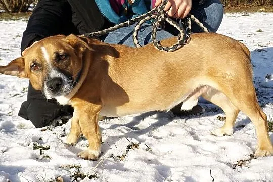Wyjątkowy Fart szuka swoich ludzi, Warmińsko-mazurskie, Olsztyn