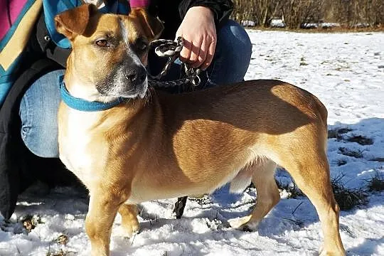 Wyjątkowy Fart szuka swoich ludzi, Warmińsko-mazurskie, Olsztyn