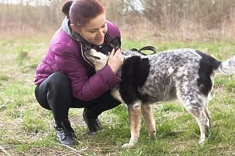 Czy Lopez w końcu doczeka się domu? Cudny, kochany psiak,  Kundelki cała Polska
