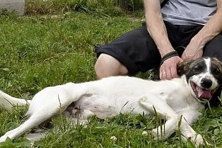 Nie słyszę, ale zobaczę, że mnie kochasz!! ,  mało