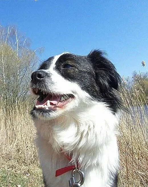 Amelia - piękne imię i charakter :), mazowieckie