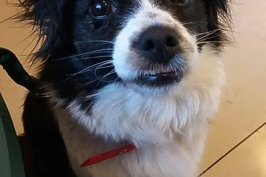 Amelia - piękne imię i charakter :),  mazowieckie 