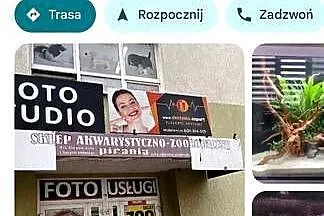 Żółw Lądowy Olsztyn Grecki Cites, Warmińsko-mazurskie, Olsztyn