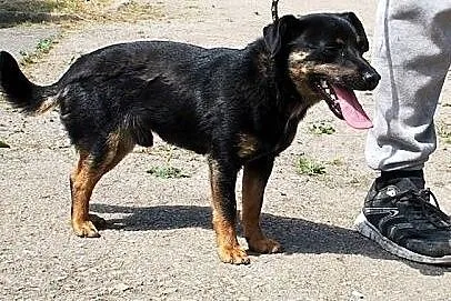Malutki, młodziutki Feluś bardzo potrzebuje domu, 
