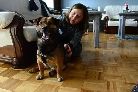 Macho szuka domu,  mazowieckie Warszawa