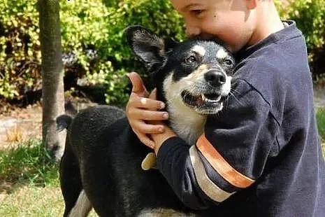 Donia to średniej wielkości ,5-letnia urocza suczk