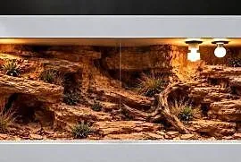 Terrarium pustynne dla gekona lamparciego agamy brodatej