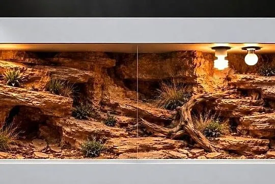 Terrarium pustynne dla gekona lamparciego agamy brodatej