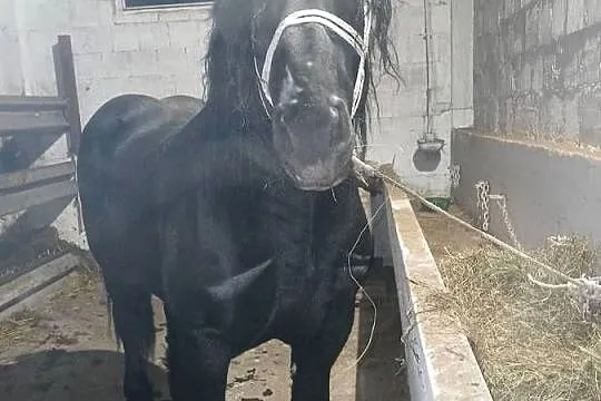 Kary 3 lata, Świętokrzyskie, Skarżysko-Kamienna
