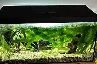 Akwarium zestaw