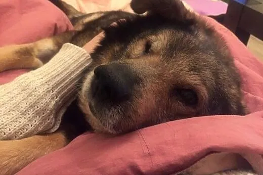 Może ciężko w to uwierzyć... NIKUŚ serce Ci powier