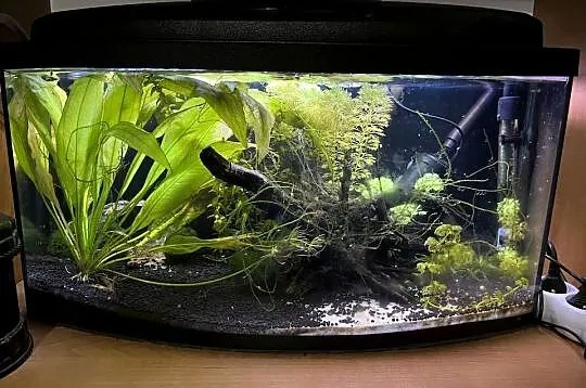 Akwarium 39l