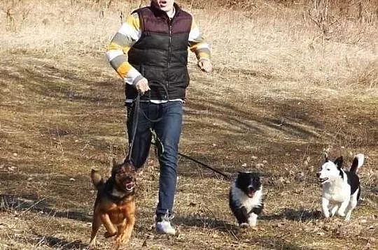 Młodziutki terierek Miluś szuka kochającego domu!