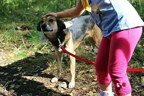 Neska i Saba - cudne dziewczyny szukaja domu na st
