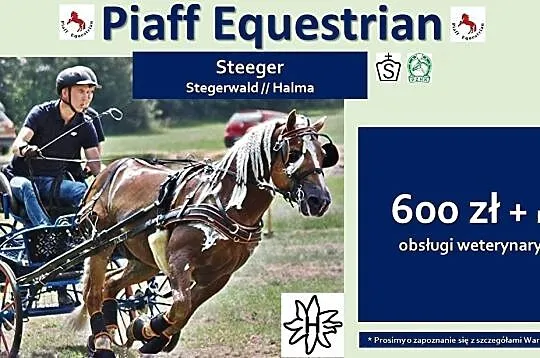 STANÓWKA 2021 PIAFF EQUESTRIAN - OGIER HAFLINGER -, Reńska