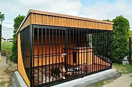 Kojec dla psa 3x2m Premium | Oak | dowolna konfiguracja | RAJK-STAL