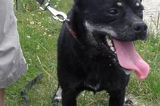 Małpiatek, który kocha wszystkich-wciąż czeka na d