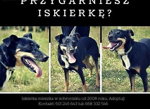 Pokochaj uroczą Manię - to nierzucająca się w oczy