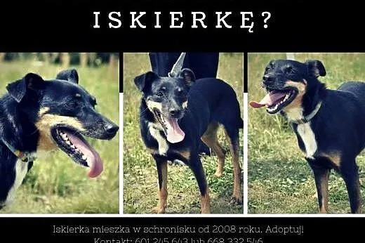 Pokochaj uroczą Manię - to nierzucająca się w oczy