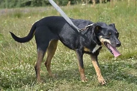 Pokochaj uroczą Manię - to nierzucająca się w oczy