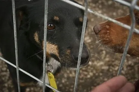 Pokochaj uroczą Manię - to nierzucająca się w oczy
