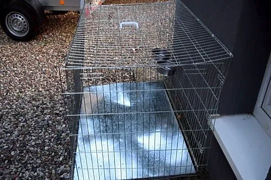 Klatka Składana dla Psa 116x85x78*Plus Materac*Okazja*Olsztyn, Warmińsko-mazurskie, Olsztyn