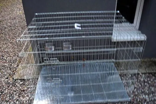 Klatka Składana dla Psa 116x85x78*Plus Materac*Okazja*Olsztyn, Warmińsko-mazurskie, Olsztyn