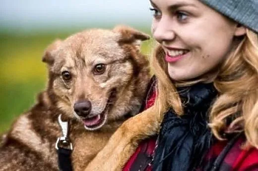 Nic tak nie ogrzeje serca, jak zimny nosek Novej,  mazowieckie Warszawa